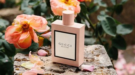 gucci bloom perfume properties|Gucci Bloom longevity.